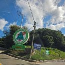 양구자연생태공원(생태식물원,DMZ야상화분재원,DMZ야생동물생태관) | 강원 양구] 양구 가볼 만한 곳 양구수목원 스탬프투어(ft.크리스마스트리나무 구상나무)