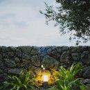 소요소림 이미지