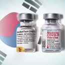 백신상회
