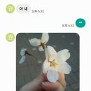 꽃;피다 이미지