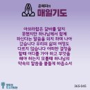 매일365