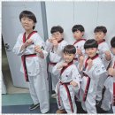 기품있는 태권도장 이미지