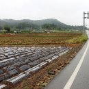 오케이주유소 이미지