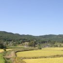 성림농원 이미지