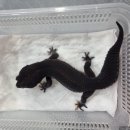 원주브리딩 이미지