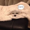 안중주공2 | 2025年, 4月