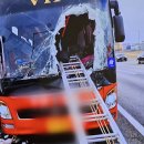 빠진 트럭 바퀴가 관광버스 운전석 덮쳐 2명 사망 2명 중상 11명 경상(24.02.25) 이미지