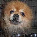 율하동로 이미지