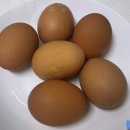 계란 삶을 때 ‘다시마’ 넣으면 정말 이렇게 된다고!? 이미지