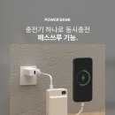바우가든 - 세종특별자치시 | 경매 필수품 바우아토 대용량 보조배터리 구매후기 내돈내산