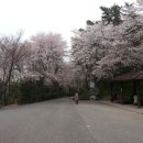 너릿재구도로 이미지