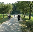 성하리 마을회관 이미지