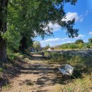 대왕목장 이미지