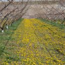 가야농원 이미지