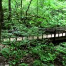 단양-단양-04 이미지