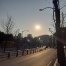 데일리 루틴(일상)