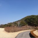 용무치횟집 | 장고항 광어 낚시