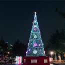 4337 | DSLR 카메라 D5600으로 담은 대전 보라매공원 크리스마스축제 since 2018 by.언니의카메라