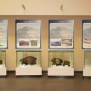 제주특별자치도 민속자연사박물관 이미지