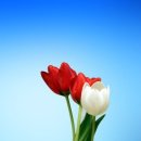 국제 중국 행정사 이미지