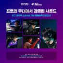 버즈파우더 주식회사 이미지