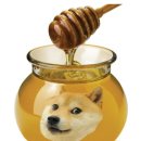 옥토퍼스