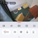 함께냥 대전점 이미지