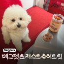 저스트인 | 메그펫츠저스트츄이트릿, 강아지 간식 저스트츄이트릿 후기