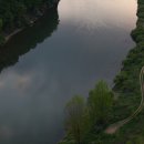 미루나무풍경 이미지