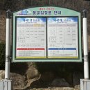 삼척 대금굴, 온라인예약 후 관람한 후기ㅣ모노레일 탑승ㅣ사진촬영금지❌