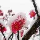 동의다올한의원 이미지