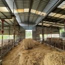 동원 3호 태양광발전소 이미지