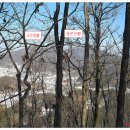 용문산 둥지 이미지