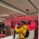 임영춘농장 이미지