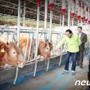 대선축산 이미지