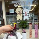 광주 반려동물용품 위글리펫 용봉점 | 광주 강아지 케이크 위글리펫 24시 애견 수제 간식 다양한 애견 간식 많은 곳 솔직후기