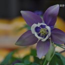 모든이의하우스 이미지