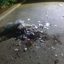 대남의원 이미지