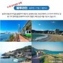 부산여행코스 BUTI 부산시티투어버스 📍주의사항 포함