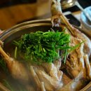 우리산약초 이미지