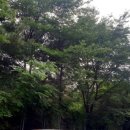 박달주유소 이미지