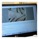 봉선2차남양휴튼작은도서관 | 광주 봉선동 두피관리 숲칼프 봉선 남양휴튼점 후기