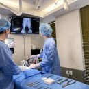 리브동물의료센터 이미지