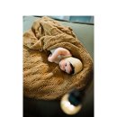 니어앤디어 이미지