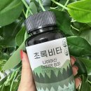 초록비타민 | 건강을 위한 선택 초록비타 비타민B3 고용량 나이아신아마이드 후기