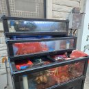 안주도둑놈 | [부산 수영] 제철 해산물이 땡길때는 광안리술집 광안리포차, 해삼멍게말미잘 솔직 후기