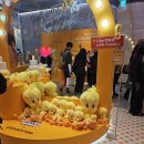 4월 3째주 팝업 후기! 파파레서피, 이니스프리