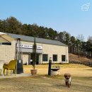 멍멍상회 이미지