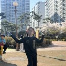 파주연세태권도장