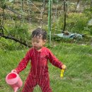 또래(어울림)어린이집 이미지